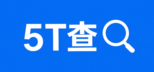 5T查
